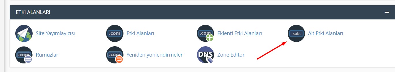 Cpanel Alt (Sub) Domain Oluşturma