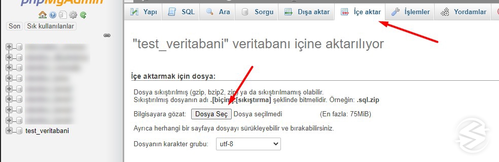 Cpanel Phpmyadmin Üzerinden Veri Tabanı Nasıl Yüklenir?