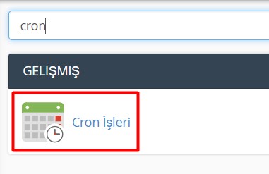 Cpanel Cron Job Ayarlama
